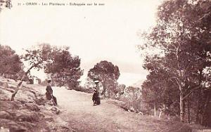 Images d'Algerie 247